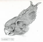 Pachyrhinosaurus Sketch