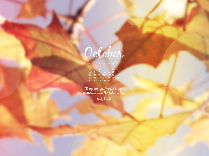 Desktop Wallpaper - October 2014