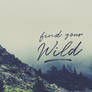 Desktop Wallpaper: Find Your Wild