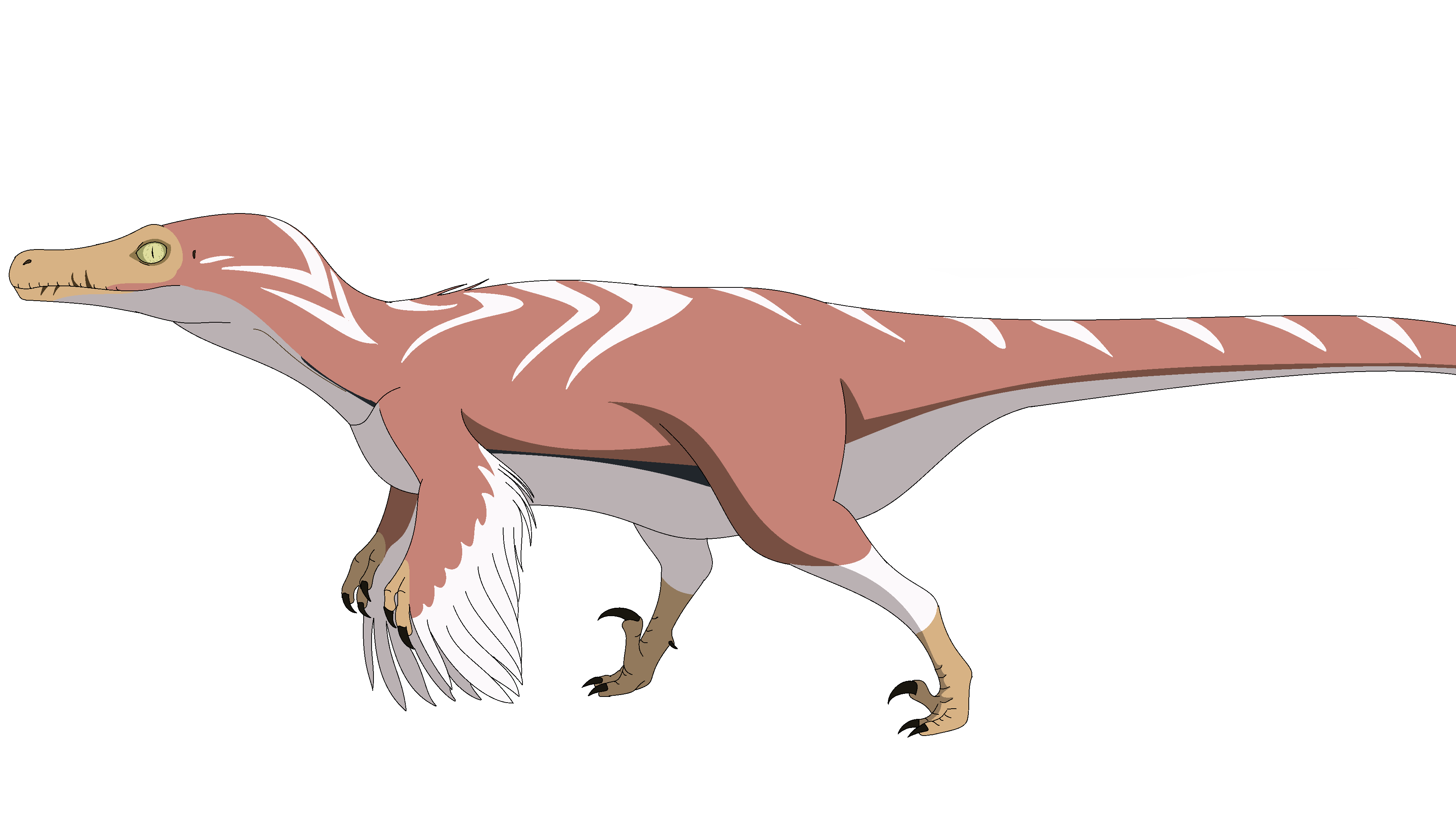 Velociraptor by sylveon2001 on DeviantArt