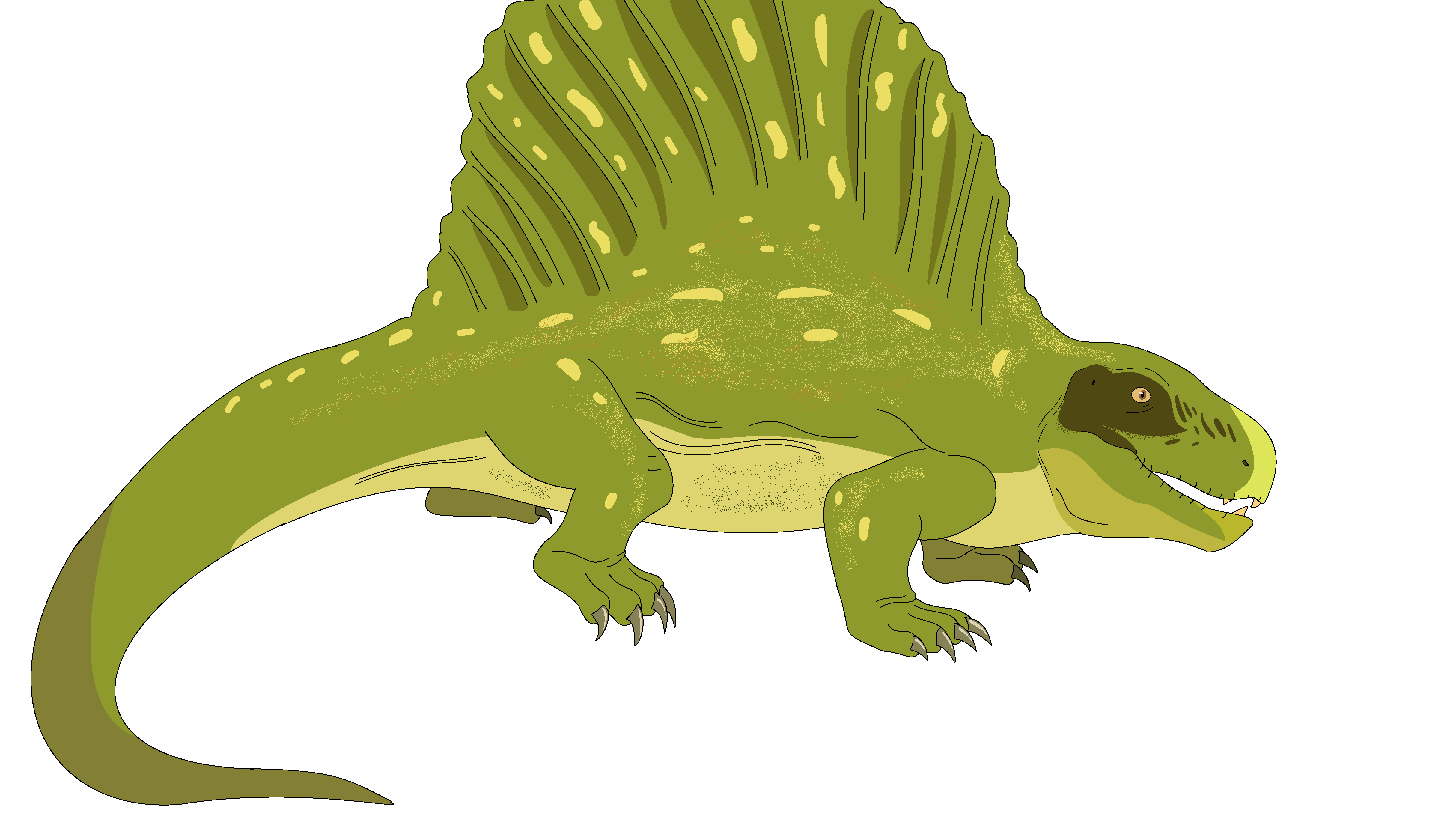 Dimetrodon by sylveon2001 on DeviantArt