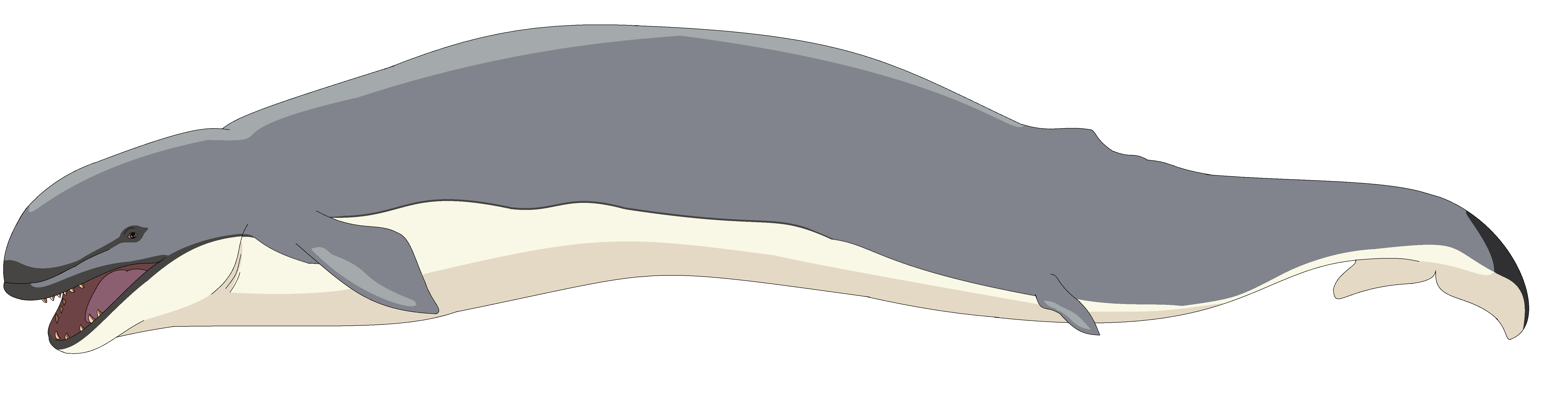 Basilosaurus Deviantart Basilosaurus by sylveon2001 on DeviantArt