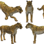 SPORE creature: Cheetah
