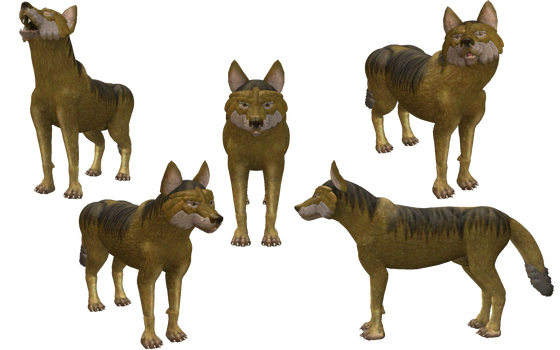 Spore Creature: Golden Jackal