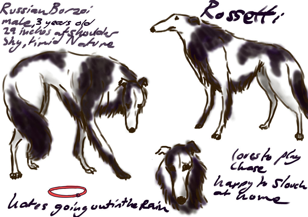 Rossetti, Ref Sheet