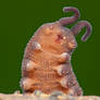 Velvet Worm says.... Thank you! :)