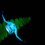 UV Fluorsence Crab Spider
