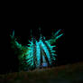 UV Fluorescence Caterpillar