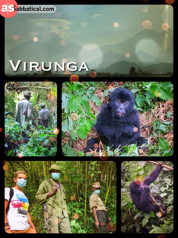 Virunga National Park