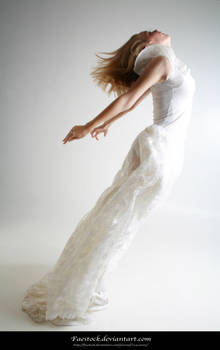 Lace 16 by faestock