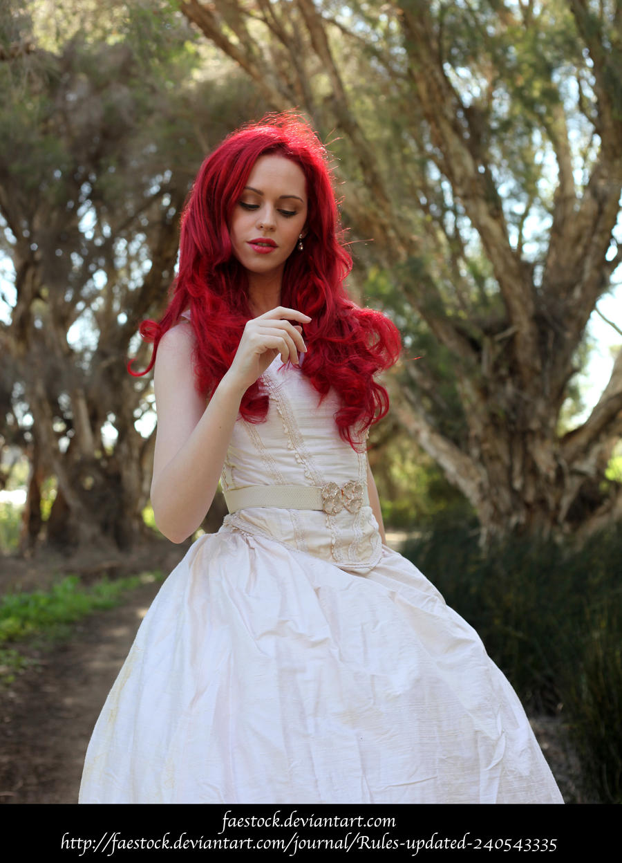 Rosa7 by faestock