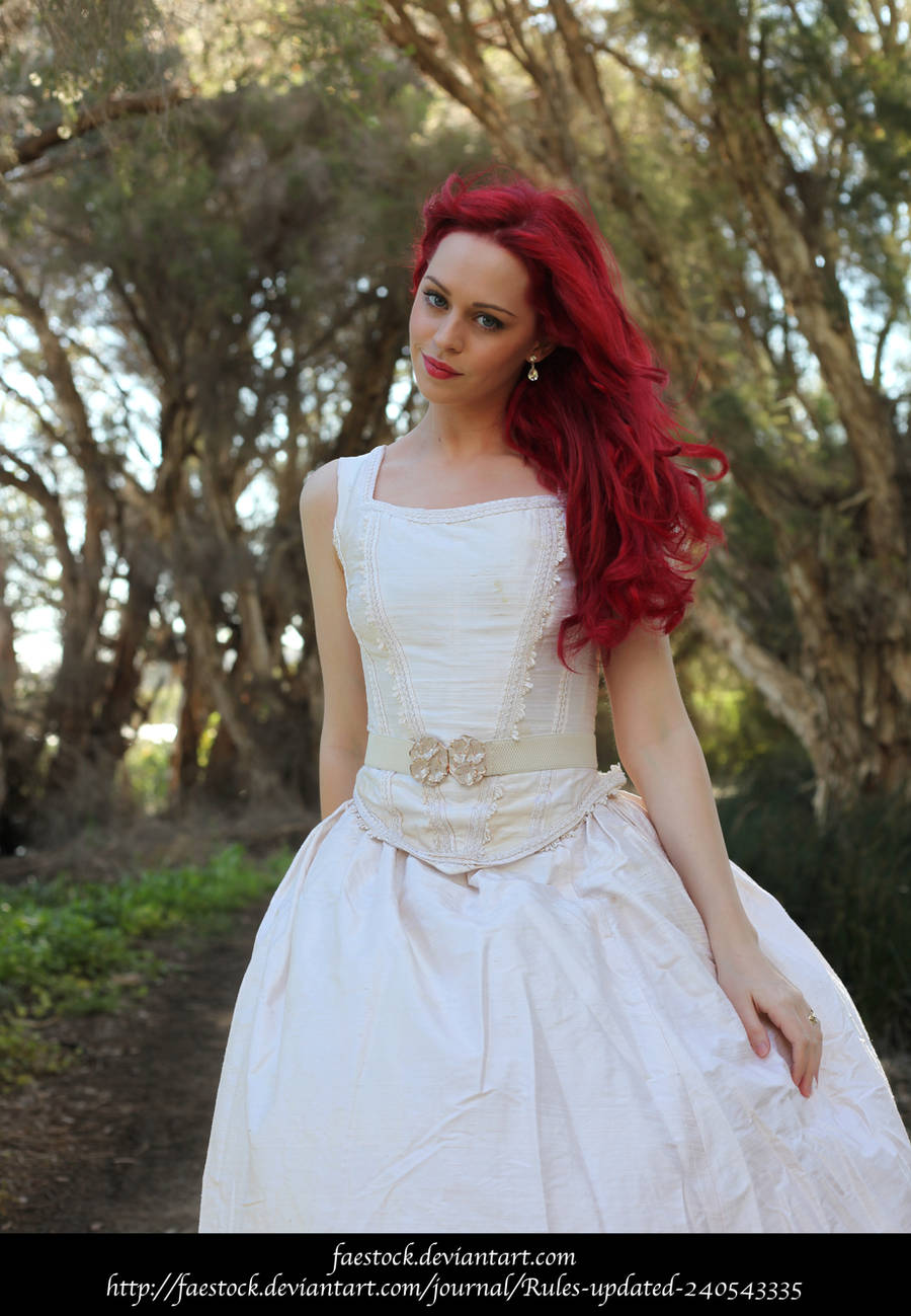 Rosa13 by faestock