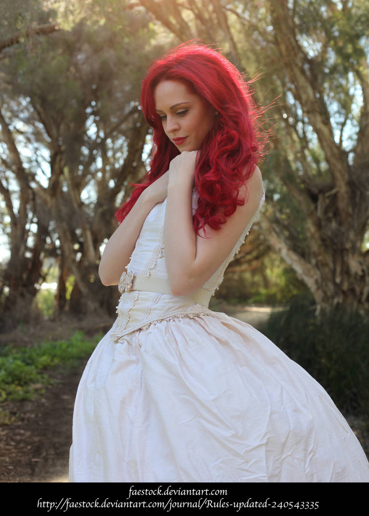 Rosa 14 by faestock