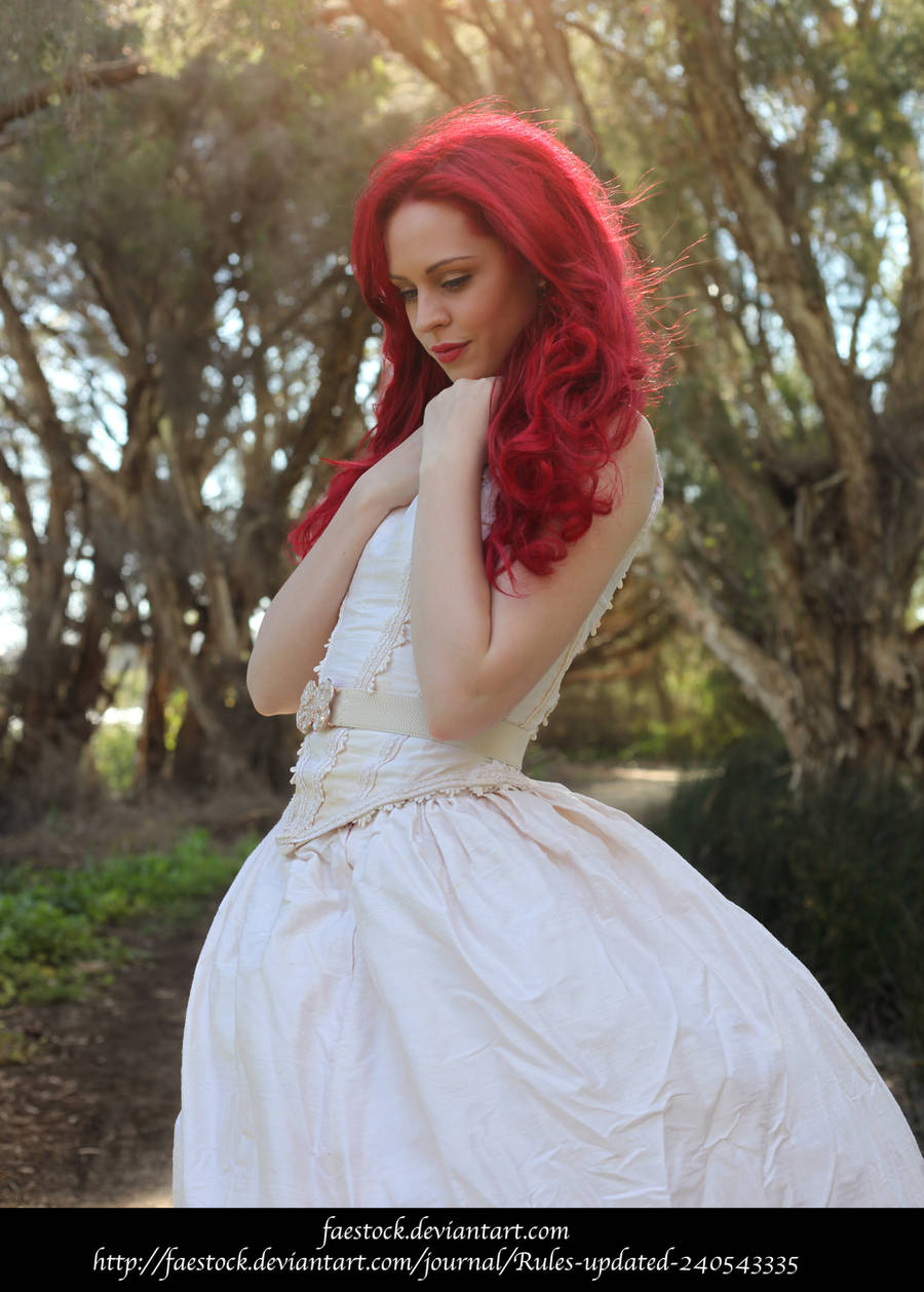 Rosa 14 by faestock