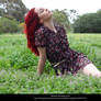 Meadow 6