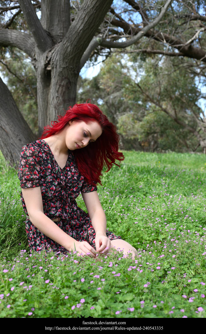 Meadow9 by faestock