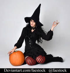 Witch  - Fantasy Model Stock Photo Reference 10