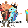 Bronycon 2013