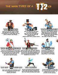 The main types of a TF2-er