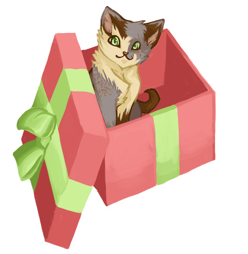 CatInaBox