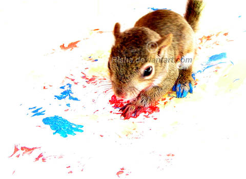 Why Squirrels Paint