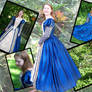 Elizabethan Gown