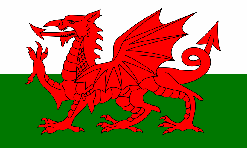 Welsh pride :D