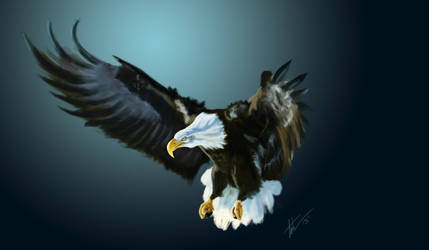 EagleSpeedPaint web