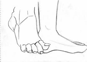 feet study