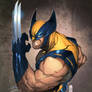 Wolverine Ludolullabi color