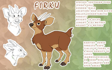 Firku ref sheet