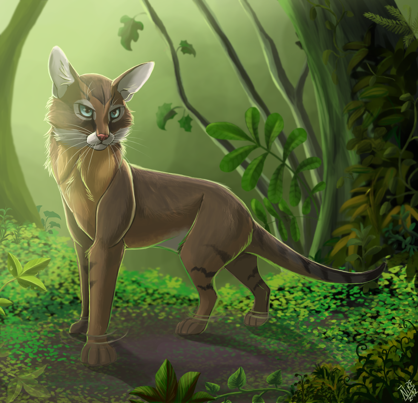 Jungle cat by Nothofagus-obliqua on DeviantArt