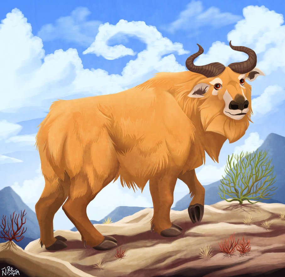 Takin by Nothofagus-obliqua on DeviantArt