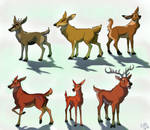Deer OC colored doodles by Nothofagus-obliqua