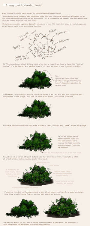 A simple shrub tutorial