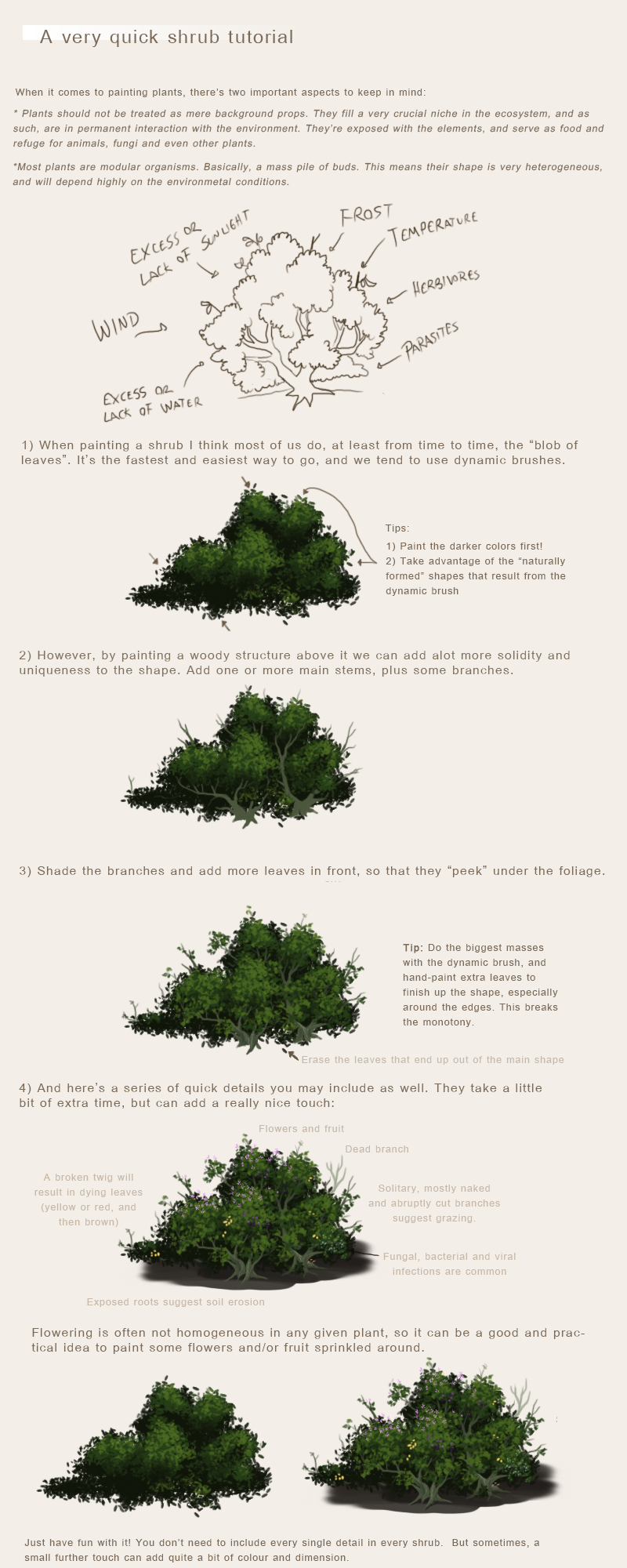 Shrub Make A simple shrub tutorial by Nothofagus-obliqua on DeviantArt
