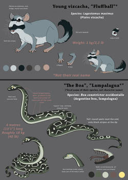 Young vizcacha and Boa- Uninvited reference sheets