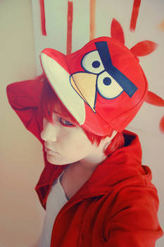 Little  Red Angry Bird