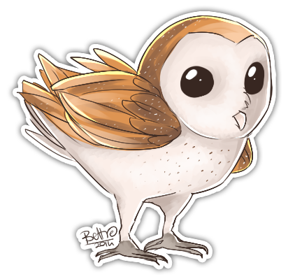 Barn owl