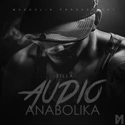 Silla - Audio Anabolika (Fan Cover)