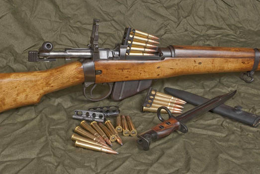 Lee Enfield .303 rifle.