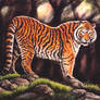 Tiger - soft pastel