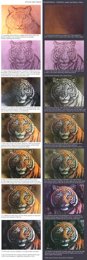 Eyes of the tiger - pastel tutorial