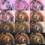 Walktrough soft pastels - bear portrait