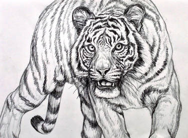 Shere Khan