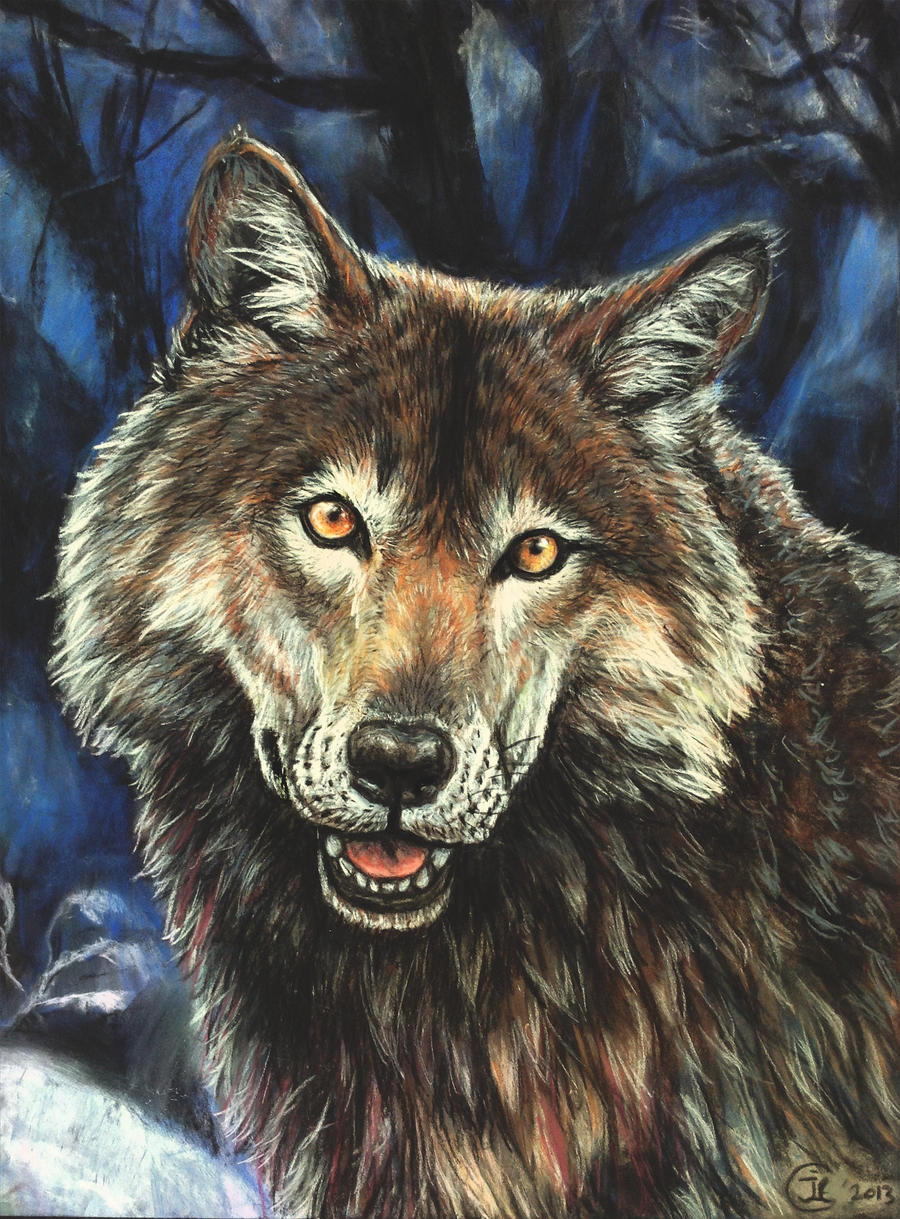 Playtime - wolf pastel portrait