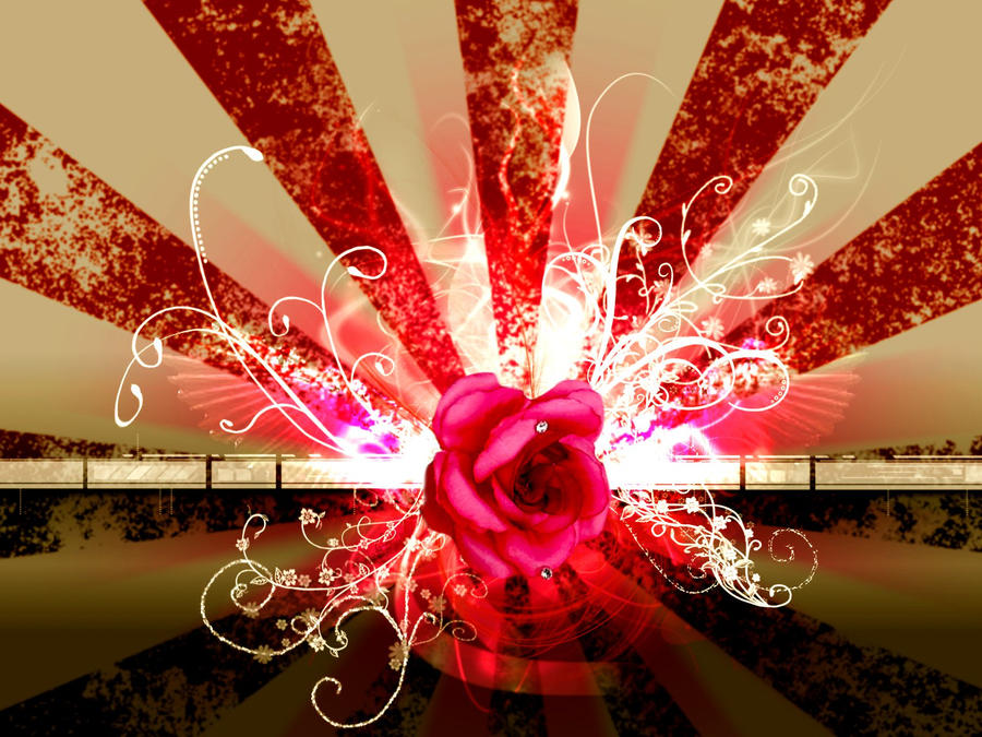 Exploding roses by Lady-goth06 on DeviantArt