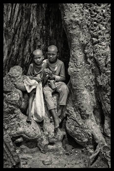 Ta Phrom Tree Children