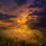 Approaching Storm Premade Background