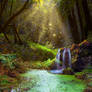 Forest Pool Premade Background